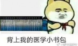 娱乐吃瓜酱学医的意义,趣味与知识的双重收获